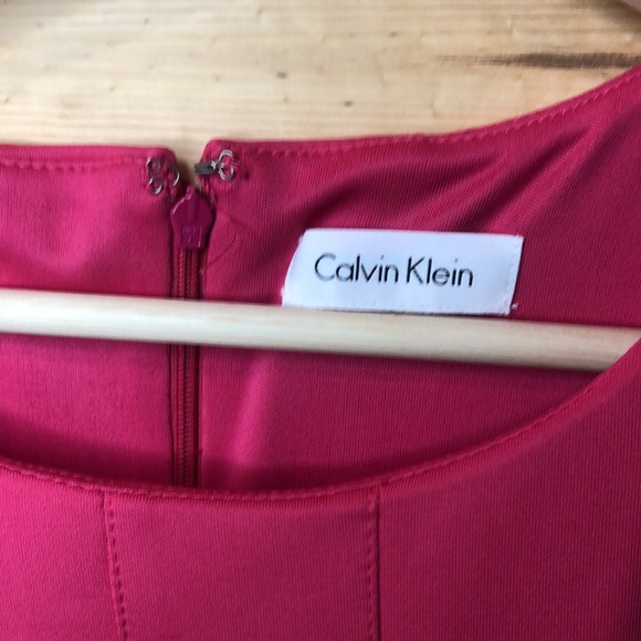 Calvin Klein || NWT || Pink Hibiscus Fit & Flare Soft Pleated Mini Dress - Picture 4 of 10